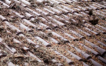 Broadford roof cleaning companies