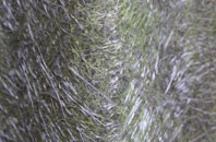 Broadford fibreglass roof work